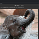 Adobe Photoshop on web promotional image